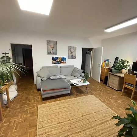 Paradise In Apartment Linz