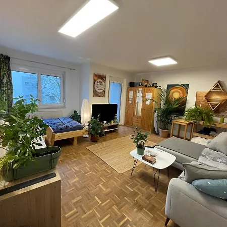 Apartment Paradise In Linz